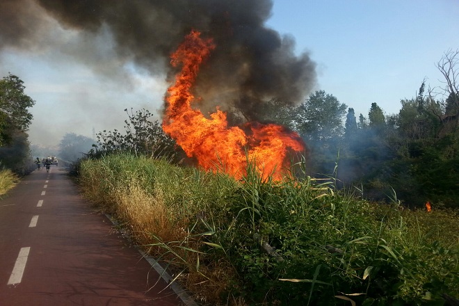 Decreto stato grave pericolosita' incendi boschivi Dettagli della notizia  Divieto accensione fuochi